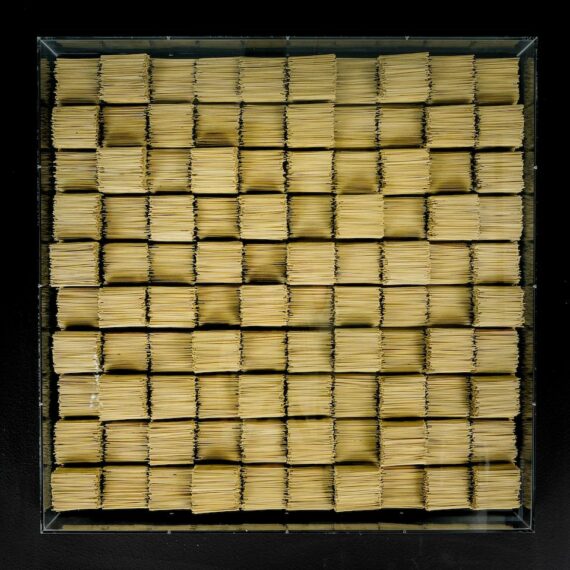 rietlanden hilde trip