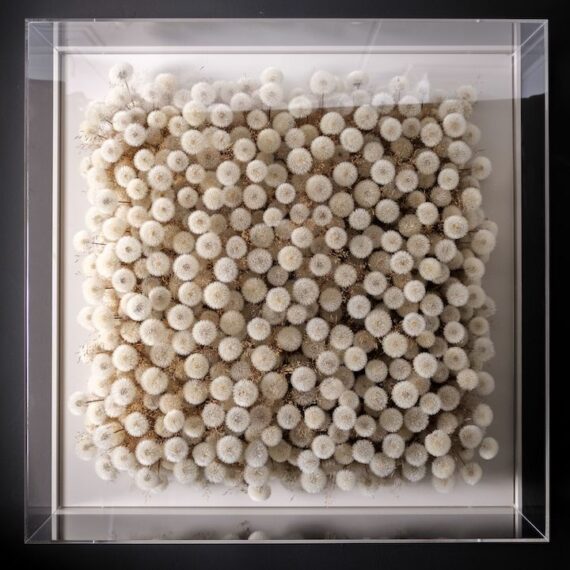 Natural art Make a Wish Hilde Trip